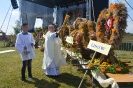 Dożynki Gminy Lubartów w Skrobowie_29