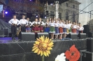 Gmina Lubartów na Dożynkach Powiatowych_254