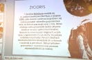 Szkoła w Brzezinach pod patronatem bł. Karoliny Kózkówny_1
