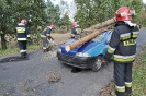 Ćwiczenia Służb Ratowniczych na terenie Gminy Lubartów_2
