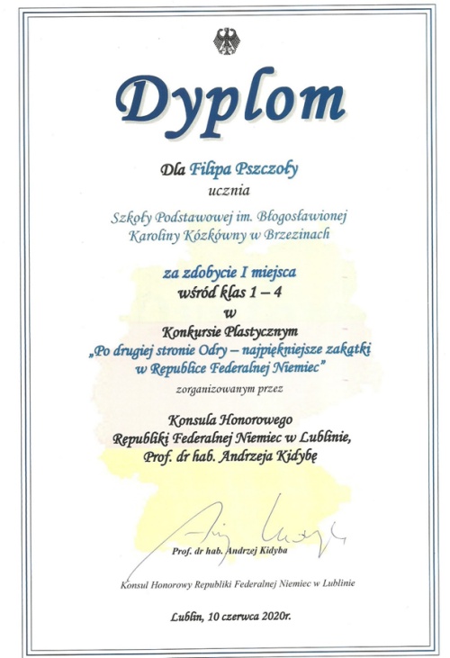 konk zam neu dypl